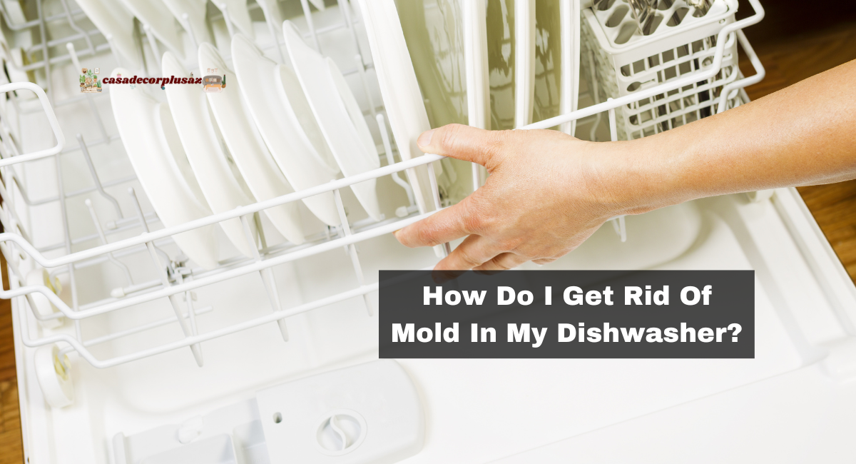 How Do I Get Rid Of Mold In My Dishwasher?