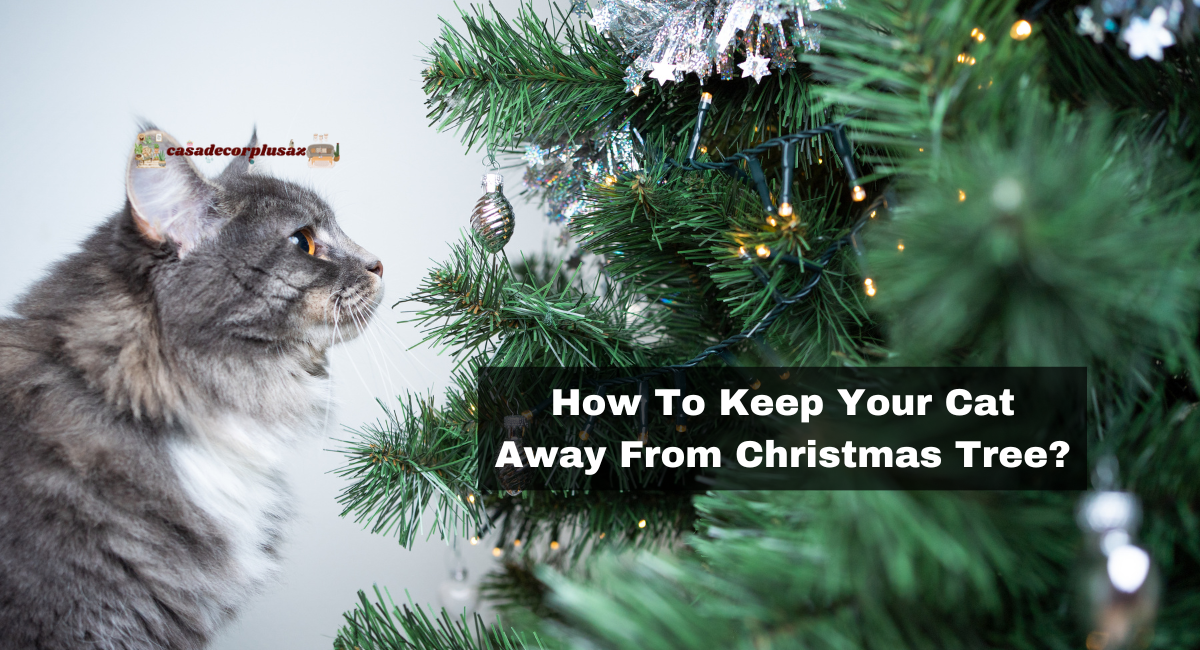 How To Keep Your Cat Away From Christmas Tree?