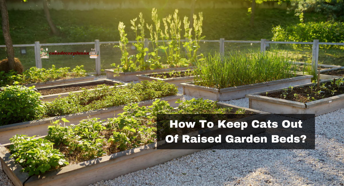 How To Keep Cats Out Of Raised Garden Beds?